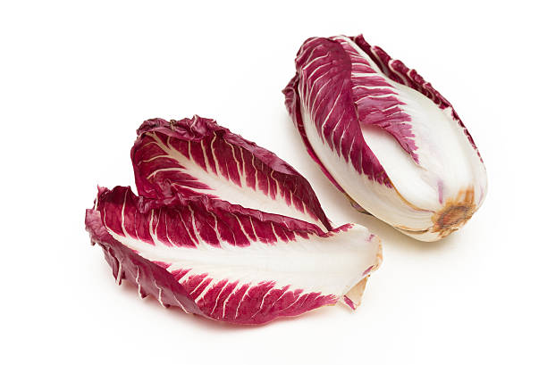 Red chicory stock photo