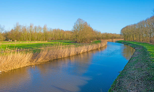 istock Canal through a sunny landscape in winter 507204422
