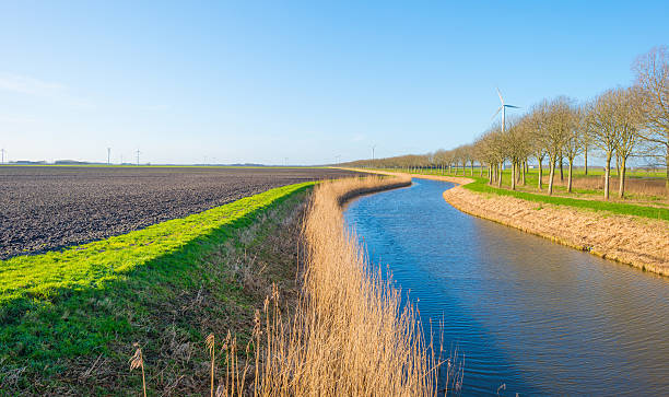istock Canal through a sunny landscape in winter 507204496