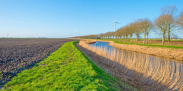 istock Canal through a sunny landscape in winter 507204684
