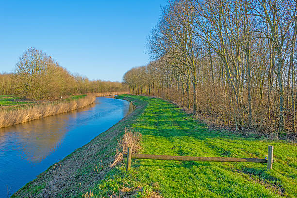 istock Canal through a sunny landscape in winter 507204720