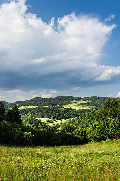 istock Pieniny Mountains in summer 507208282