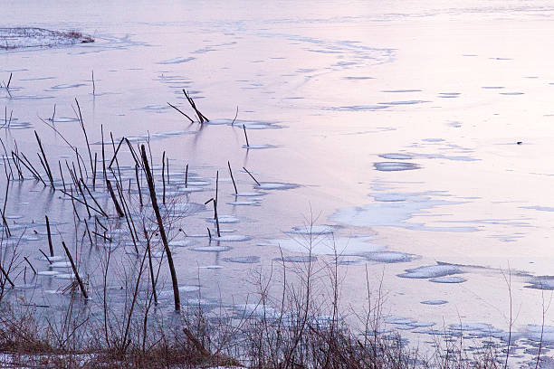 istock Frozen Lake With Reeds In Winter At Sunset 507208312