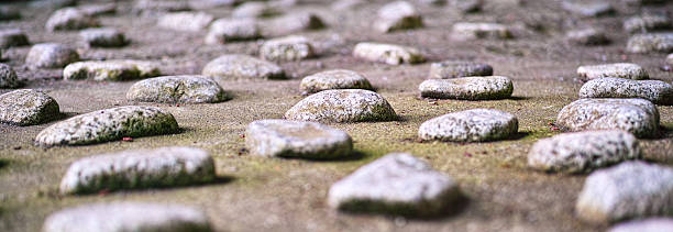 Passage of pebble