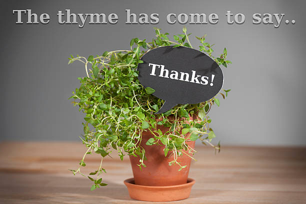 istock The time has come to say 'Thanks!' 507208718