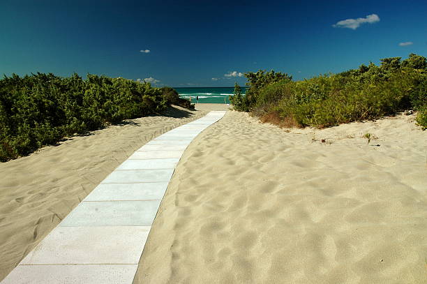 istock The road that leads to the sea. 507208865