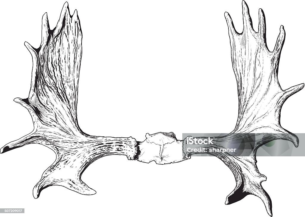 에우크 사슴뿔 - 로열티 프리 무스-사슴과 벡터 아트