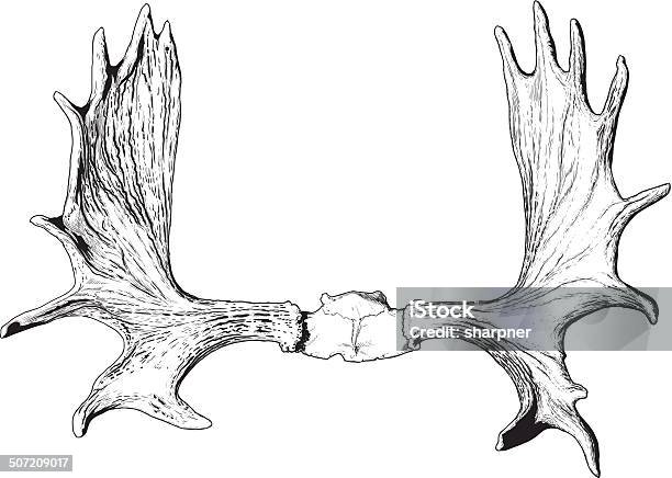 Alce Antlerscity In Oklahoma Usa - Arte vetorial de stock e mais imagens de Alce - Alce, Galhada, Vetor