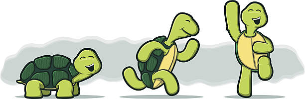 Cartoon Turtles on White Background vector art illustration