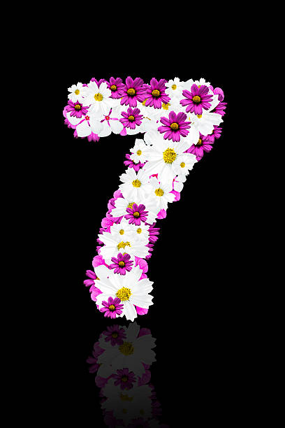 istock arabic numeral, flower number seven 507210183
