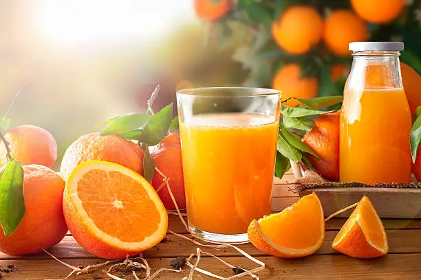Glass of orange juice on a wooden table with bottle and orange sections. Tree and field background with evening sun. Horizontal composition. Front view