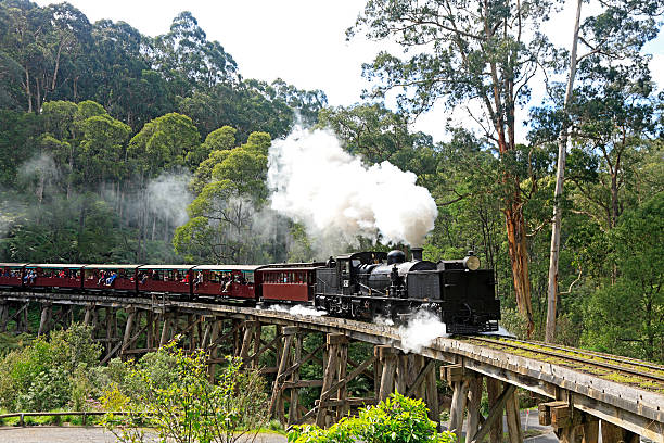 Melbourne, Australia: October 09, 2015: Puffing Billy is an historic 2ft 6in narrow gauge heritage railway in the Dandenong Ranges near Melbourne. It is a popular tourist attraction. Passengers can be seen sitting on the train.