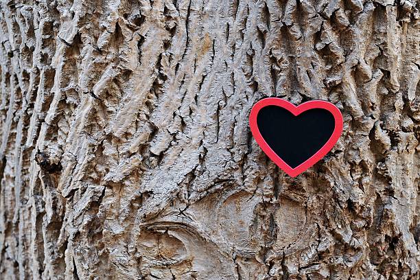 istock Heart at tree bark background. Valentines day card. 507211406