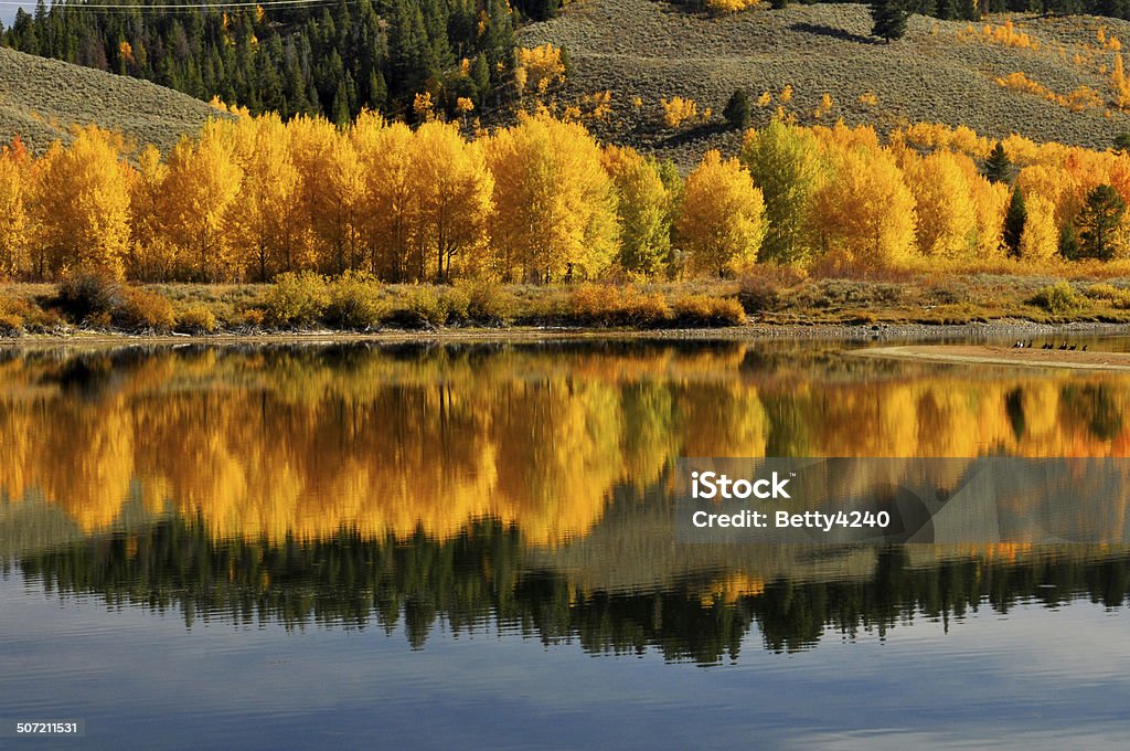 Chute d'eau dans les reflets de Grand Tetons - Photo de Automne libre de droits