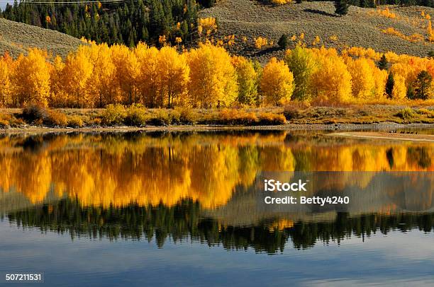 秋の水反射グランド Tetons - オレンジ色のストックフォトや画像を多数ご用意 - オレンジ色, グランドティトン国立公園, シュワバチャー ランディング