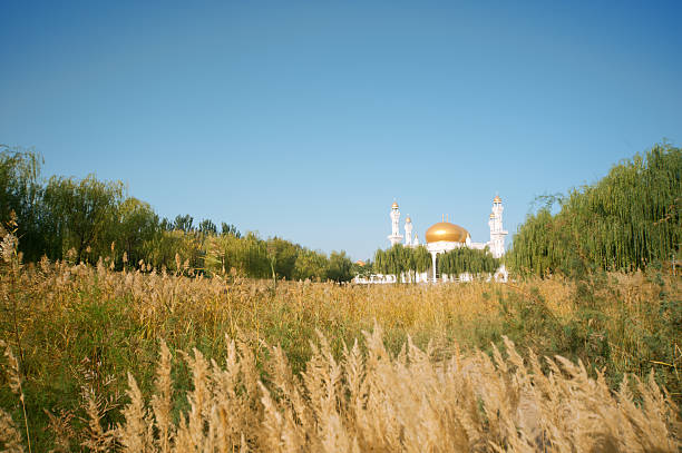 istock China's ningxia hui culture museum 507211643