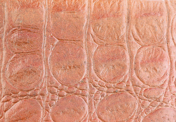 istock Textured and pattern of brown leather. 507211727