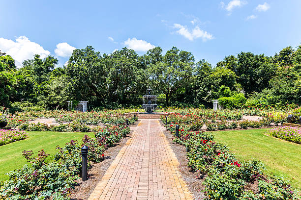 istock fountain at public park in Bellingraths gardens 507211755
