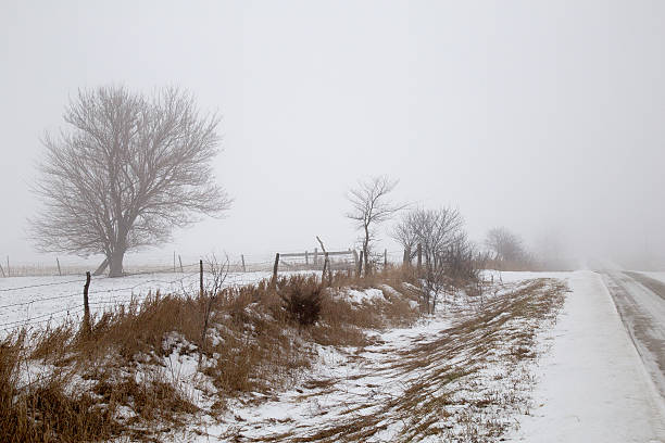 istock Snow Covered Rural Dirt Road And Trees 507213440