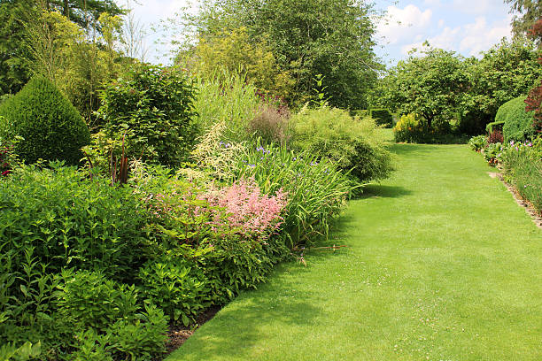 Image of garden lawn pathway with herbaceous border flowers, astilbes Photo showing a beautiful landscaped garden with a lush green pathway that has just been mown.  The herbaceous border is pictured in the summer sunshine and is planted with various seasonal flowers, including astilbes, irises and sedums, as well as a clipped yew tree and dwarf bamboo. good condition stock pictures, royalty-free photos & images