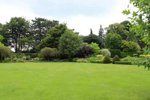 Photo showing a large park garden with lawn turf that is well maintained and regularly mown, appearing rather like a huge bowling green.  Clipped yew tree hedges, beech, tulip and pine trees, boxwood / box hedging (buxus hedging), herbaceous flowers, smoke bushes (cotinus) and rose bushes complete the scene.