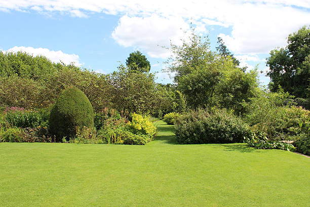 가든 잔디 경로의 이미지와 shrubs, herbaceous 공장, 꽃, 나무 - formal garden garden path bench flower 뉴스 사진 이미지