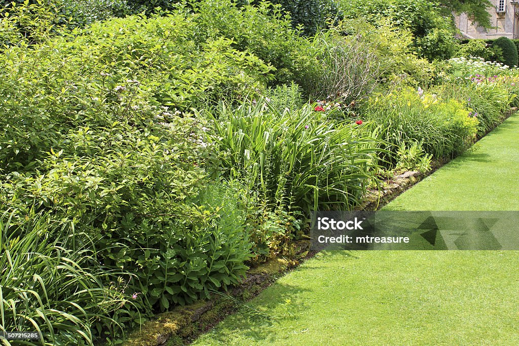 Obraz garden Trawnik ścieżki z granicy kwiaty, astilbes trawiastych - Zbiór zdjęć royalty-free (Astilbe)