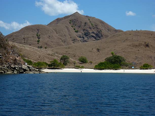 istock Pink Beach, Komodo Island - Indonesia 507215363