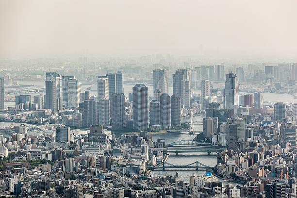 istock Tokyo Skyline, Japan 507216772