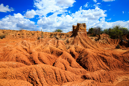 ​cactuses in desert, tatacoa desert, columbia, latin america, clouds and sand, red sand in desert, cactus