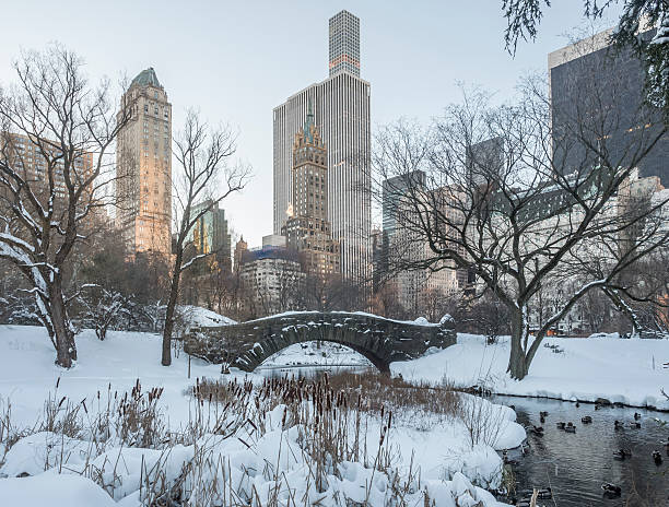 istock Gapstow bridge Central Park, New York City 507217842