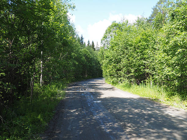 istock dirt road in the woods 507236767