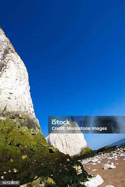 植物学ベイで英国ケント - イギリスのストックフォトや画像を多数ご用意 - イギリス, イギリス海峡, イングランド