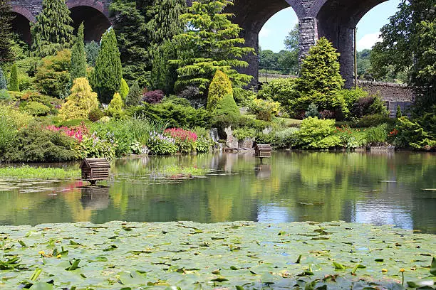 Photo showing a large pond with a rockery / rock garden planted with dwarf conifers and flowers, on the far side of the water.  Growing in the foreground is a group of yellow water lily flowers.  These flowers are not typical water lilies, as the flowers appear more like a bud than an actually bloom, while the leaves are more oval in shape.