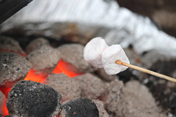 istock Image of marshmallows being toasted in fire / barbecue, toasting marshmallows 507243489
