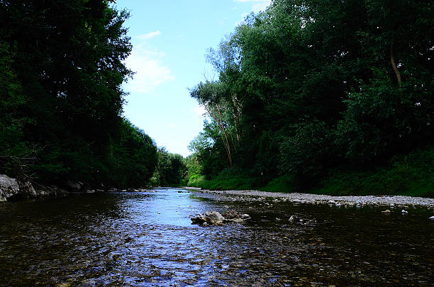 istock creek in green nature 507247310