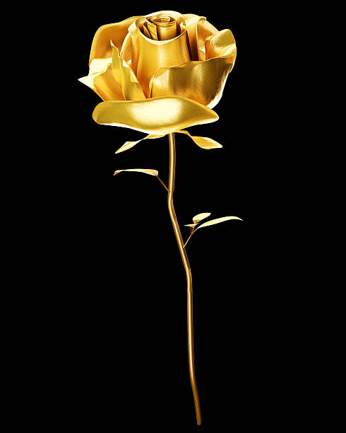 rosa de ouro 3d isolado no fundo branco - rose metallic plant flower - fotografias e filmes do acervo