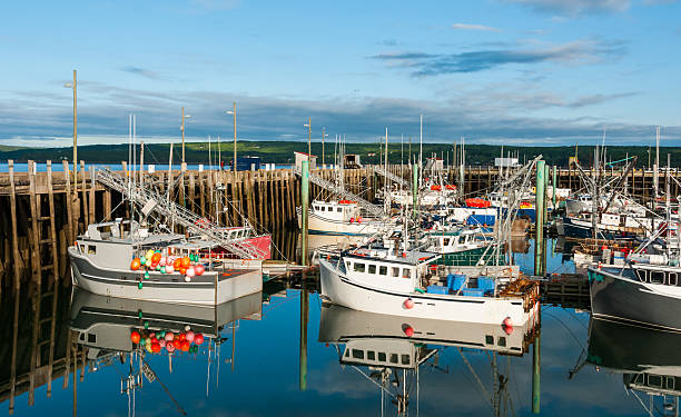 istock Fishing boats in the harbour at low tide in Digby. 507249724