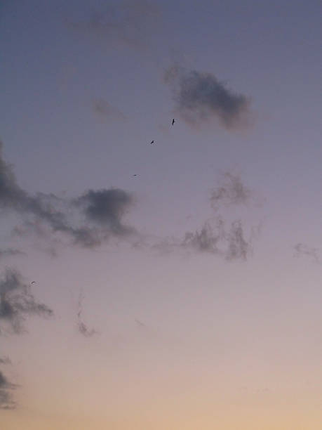 istock High skies with flying birds 507253650