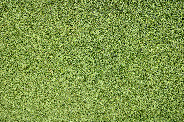 istock The fresh green grass of the beautiful golf course. 507256852