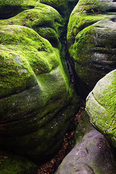 Photo of Allegany State Park