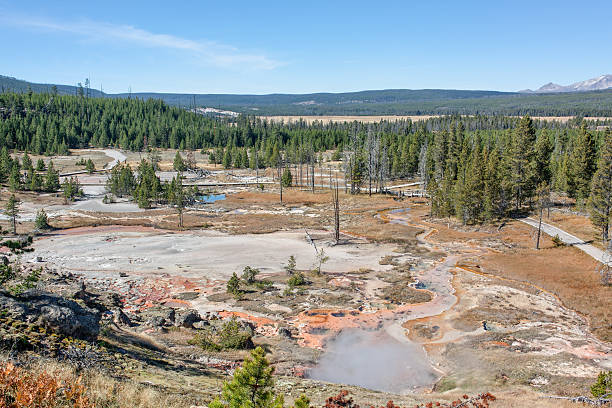 istock Norris Geyser Basin Yellowstone N.P. 507260692