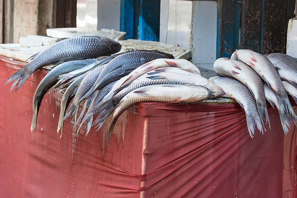 istock Street trade in fish 507261172