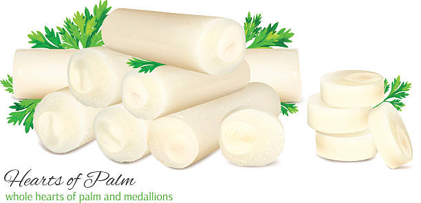 palmherzen mit petersilie - palmenherzen stock-grafiken, -clipart, -cartoons und -symbole