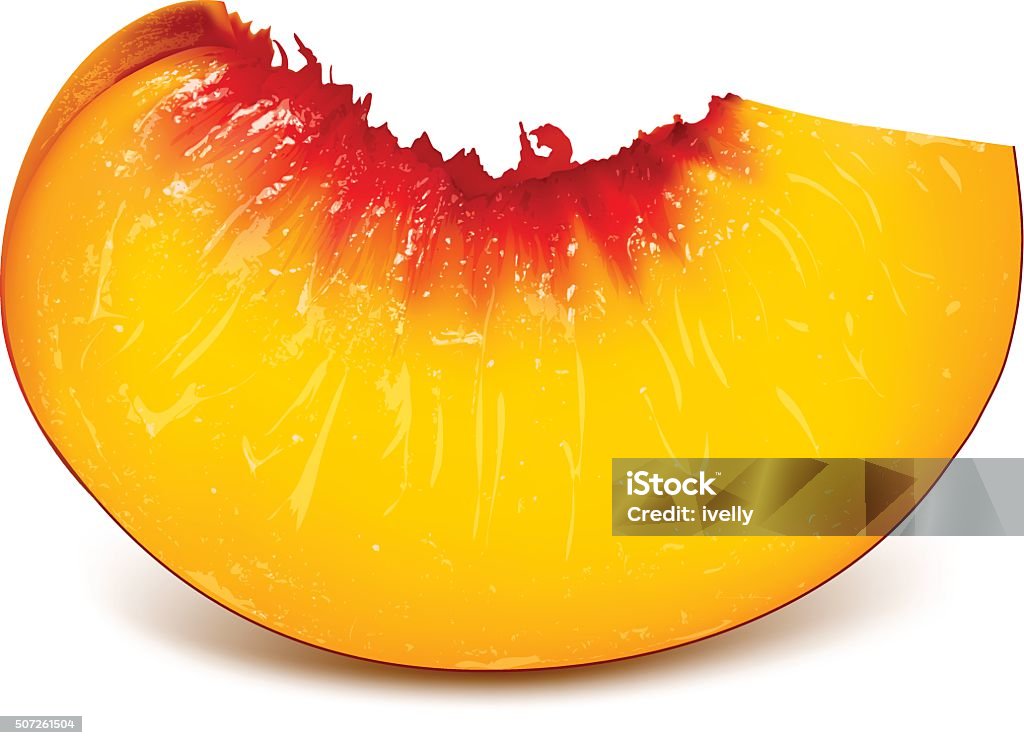 Slice of ripe peach Slice of ripe peach. Fully editable handmade mesh.  Vector illustration. Peach stock vector