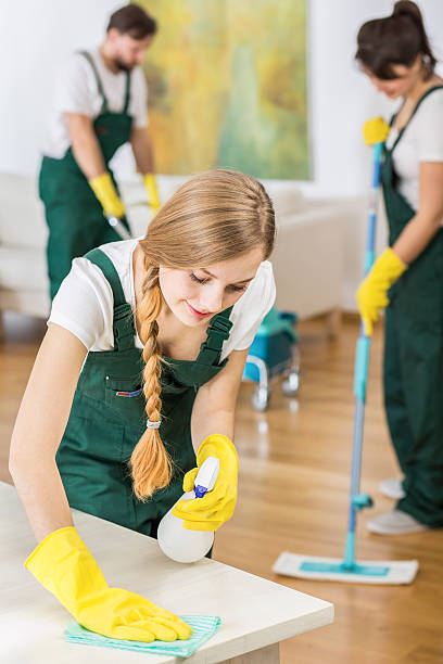 istock I won't miss any dirt! 507262350
