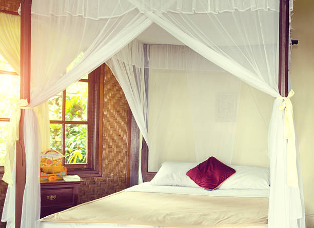 istock romantic canopy bed with red pillow in jungle 507263392
