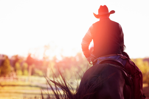 Rear view of cowboy riding away. Strong flare from the low morning sun.