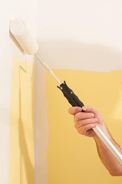 istock Man Painting a Wall in a Room 507267967