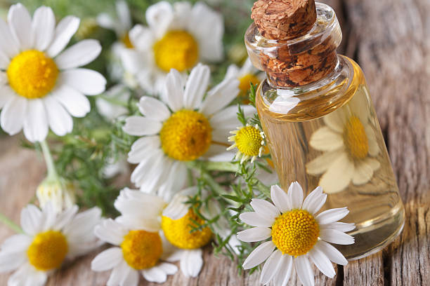 香り豊かなオイルのカモミールにガラスの瓶マクロ水平 - chamomile ayurveda chamomile plant german chamomile ストックフォトと画像